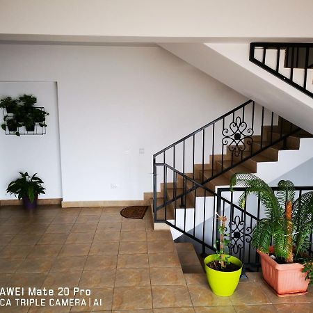 Cluj City Marasti Apartament 2 外观 照片