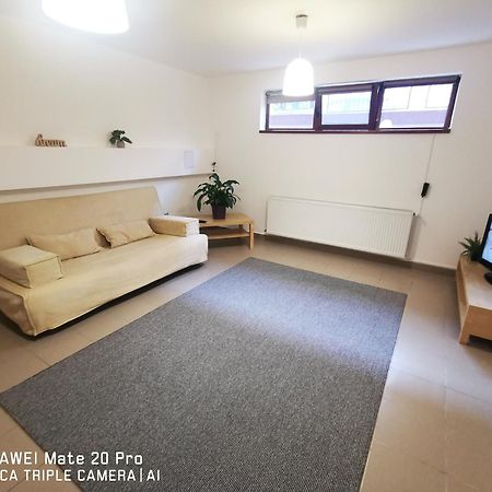 Cluj City Marasti Apartament 2 外观 照片