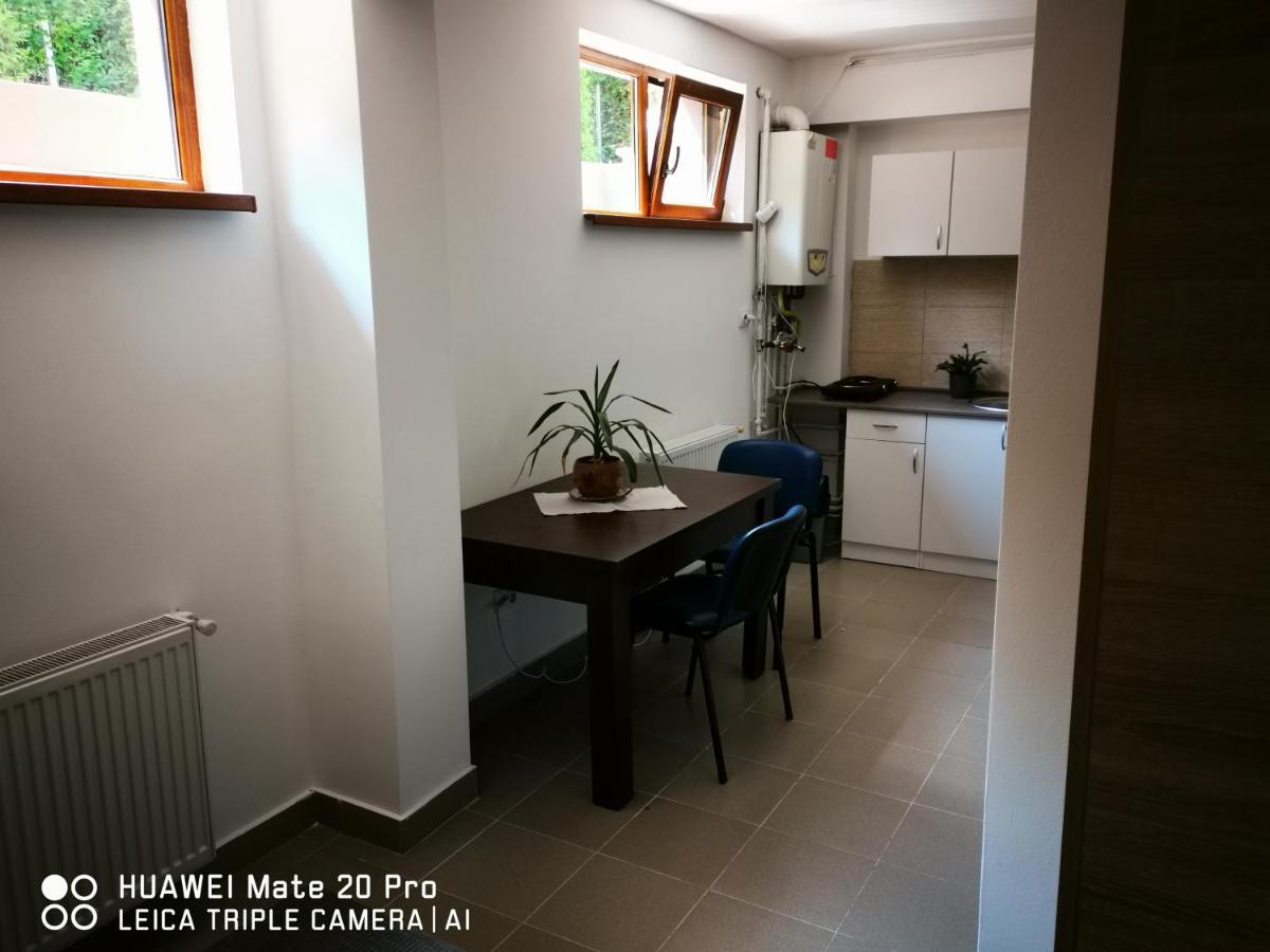 Cluj City Marasti Apartament 2 外观 照片