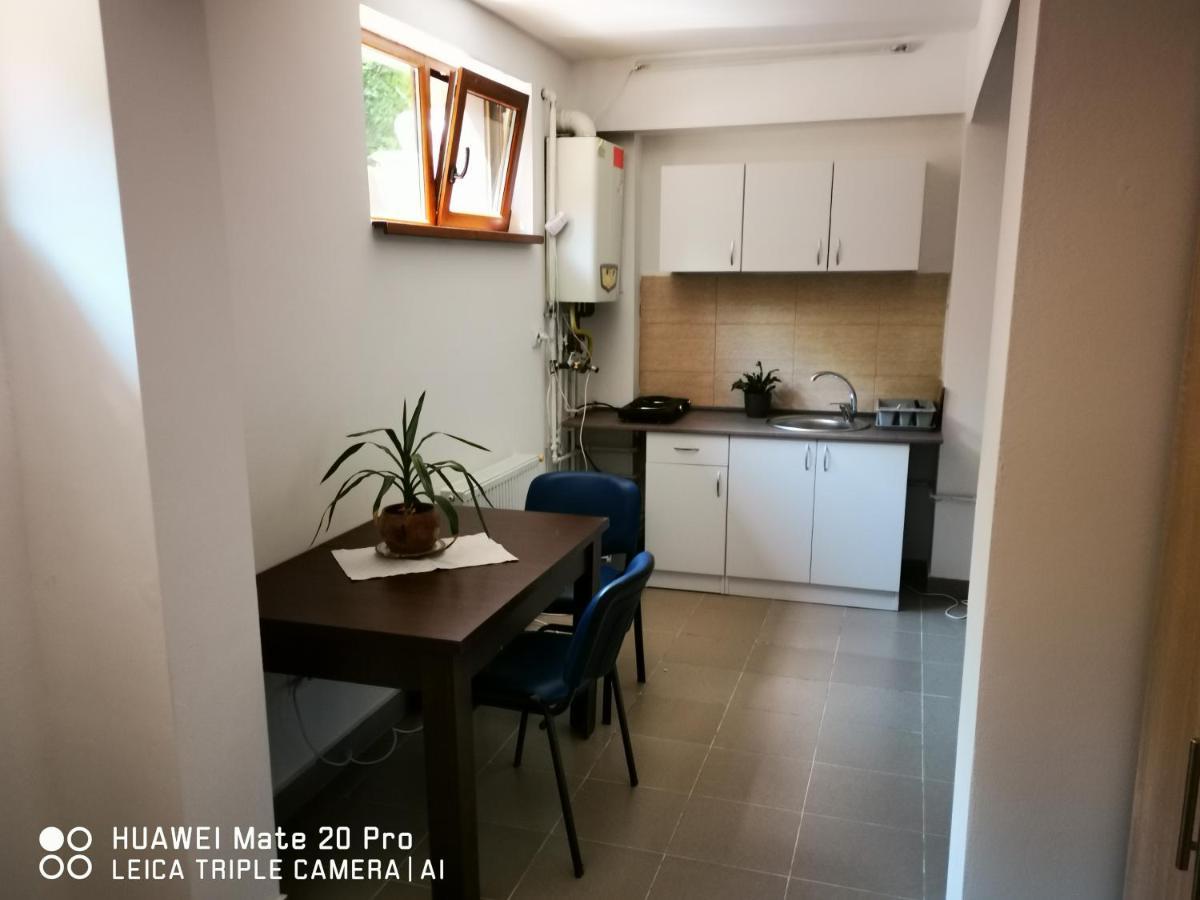 Cluj City Marasti Apartament 2 外观 照片
